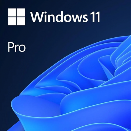 MS WINDOWS 11 PRO TR KUTU HAV-00159